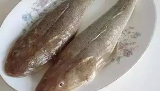~(y)