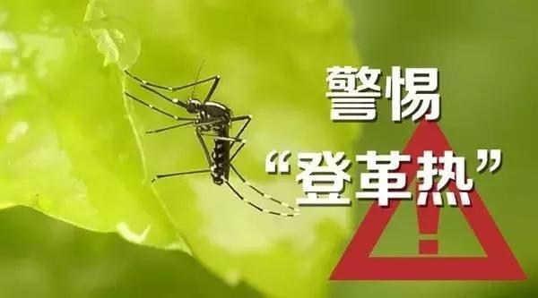 什么是登革熱？