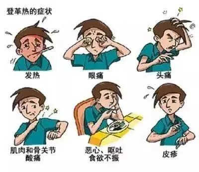登革熱癥狀