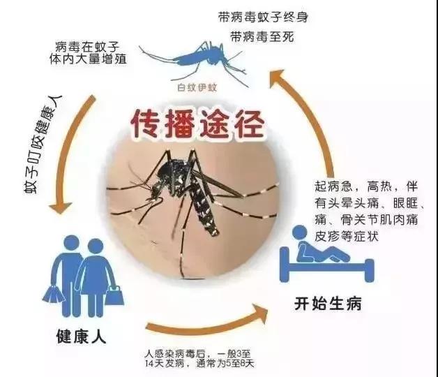 革熱診傳播途徑