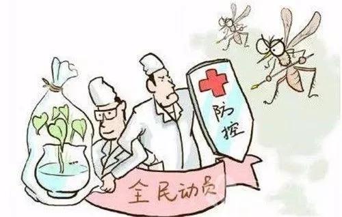 全民動(dòng)員防范登革熱